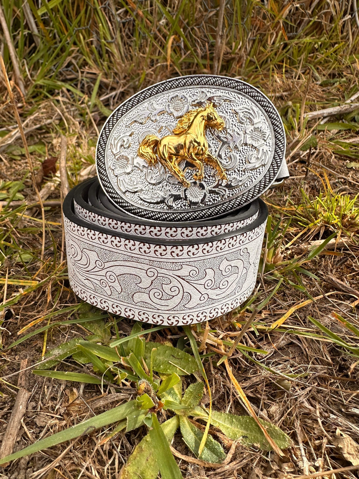 Belt & Buckle