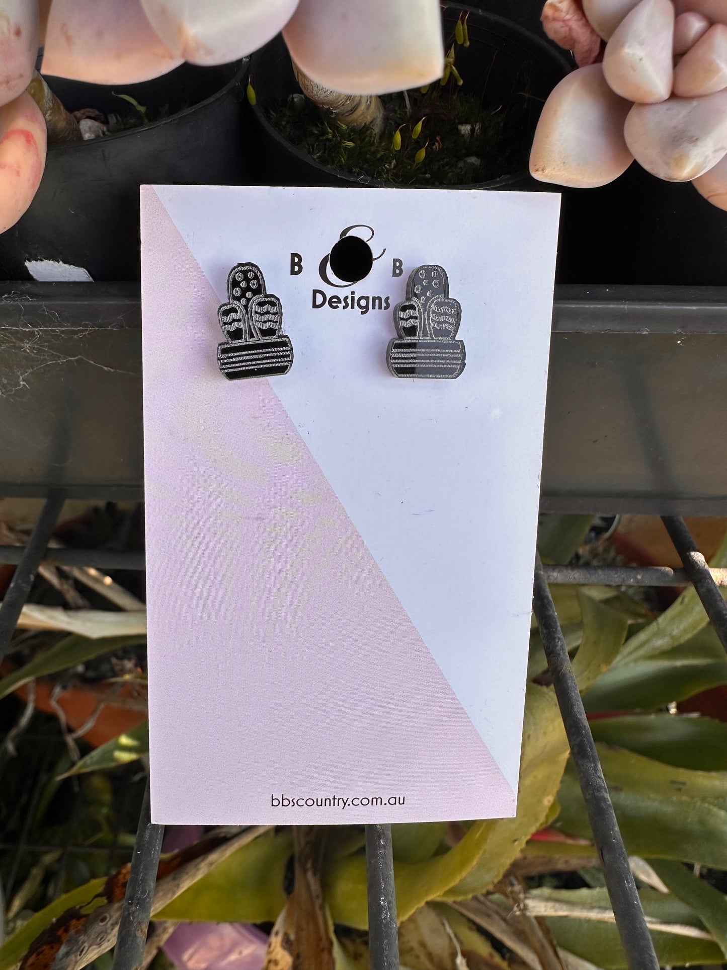 * NEW STYLE* - BB’s Country - Cactus Stud