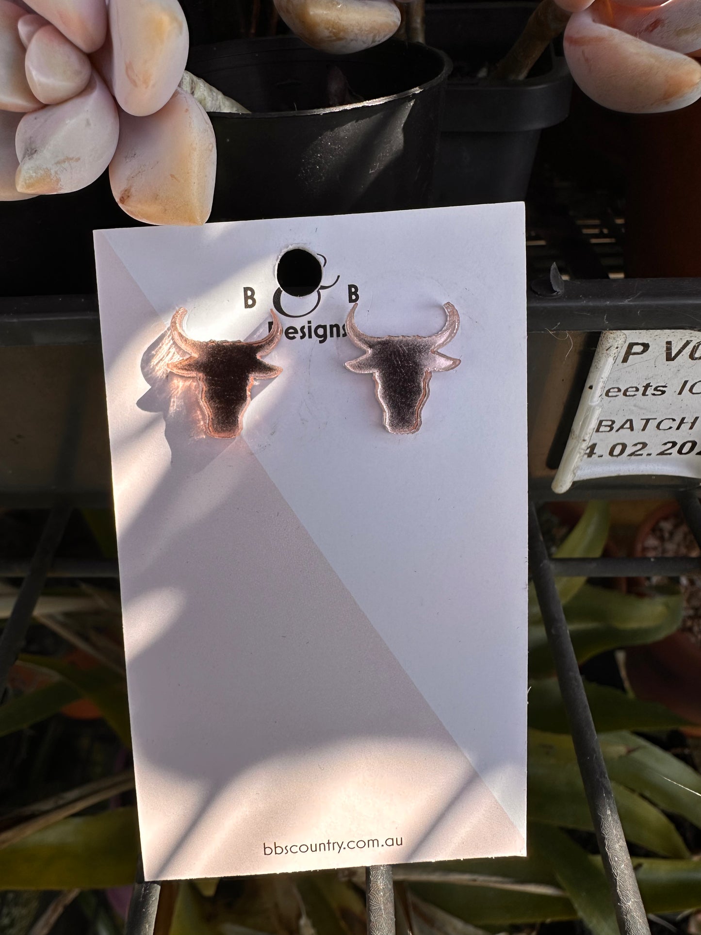 * NEW STYLE* - BB’s Country - Bull Horn Stud