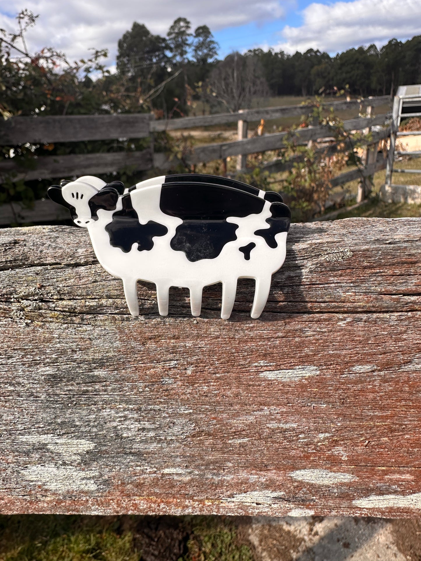 BB’s Country - Cow Claw Clip