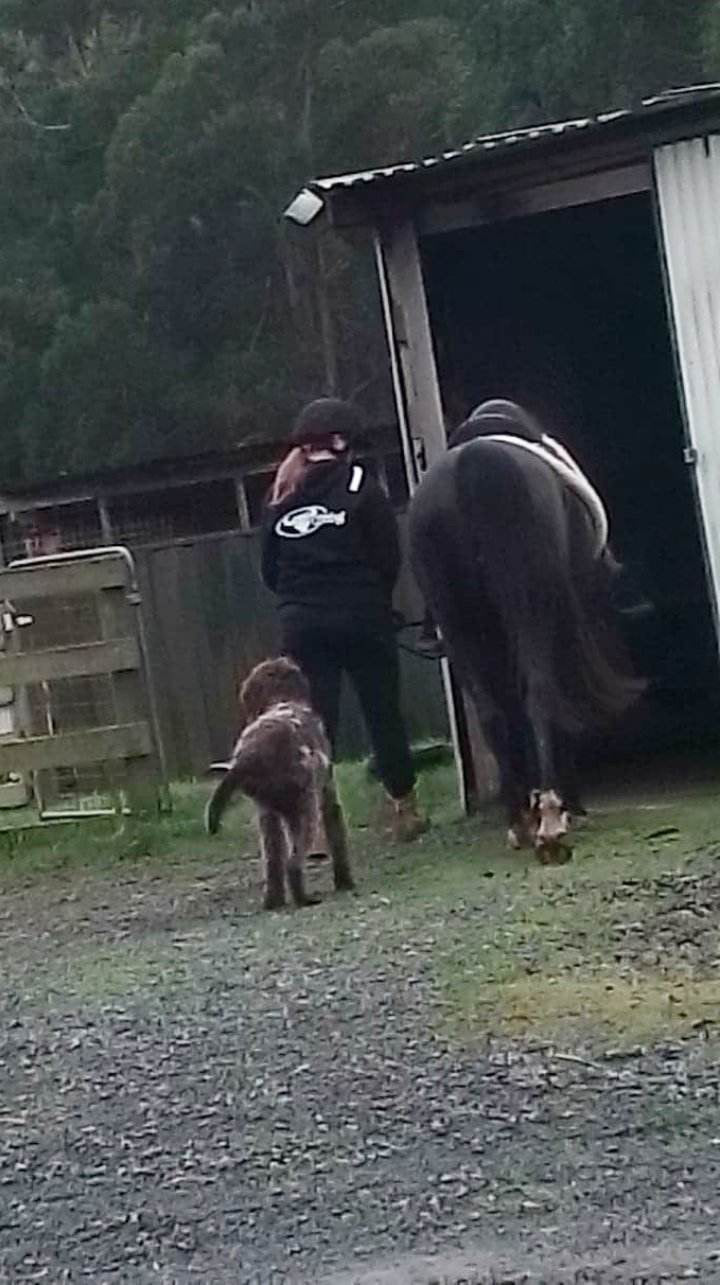 BB’s Country- Unisex Heavy Weight Hoodie With White  Logos.