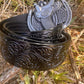 Belt & Buckle