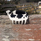 BB’s Country - Cow Claw Clip