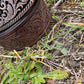 Belt & Buckle
