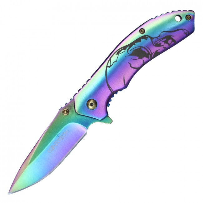 Wartech Rainbow Folder + Skull