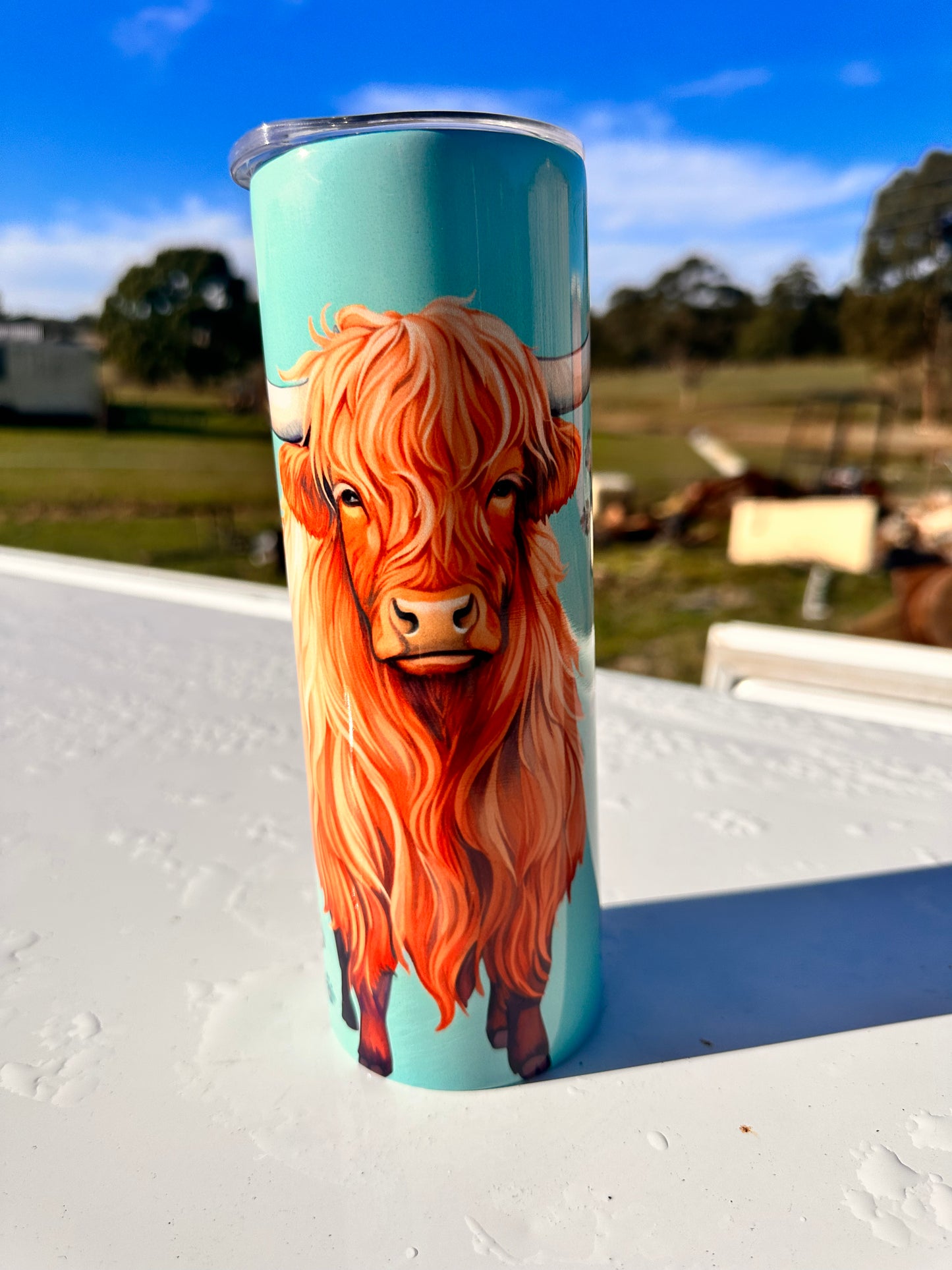 20oz Tumbler -  Highland Cow